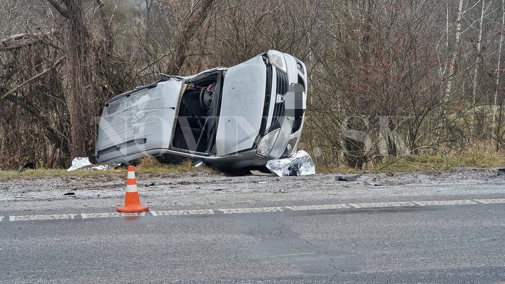 319852618_862463558505871_4866962859919420811_n