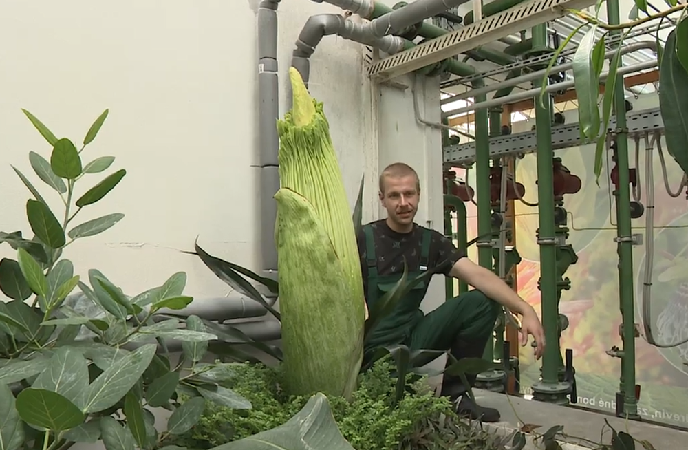 Screenshot 2024-07-27 083909