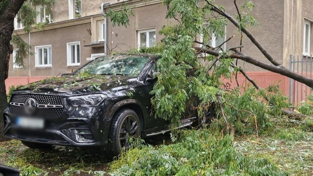 strom padol na autooo