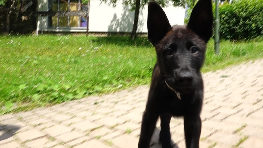 [multi] 071024ZFZ 12065