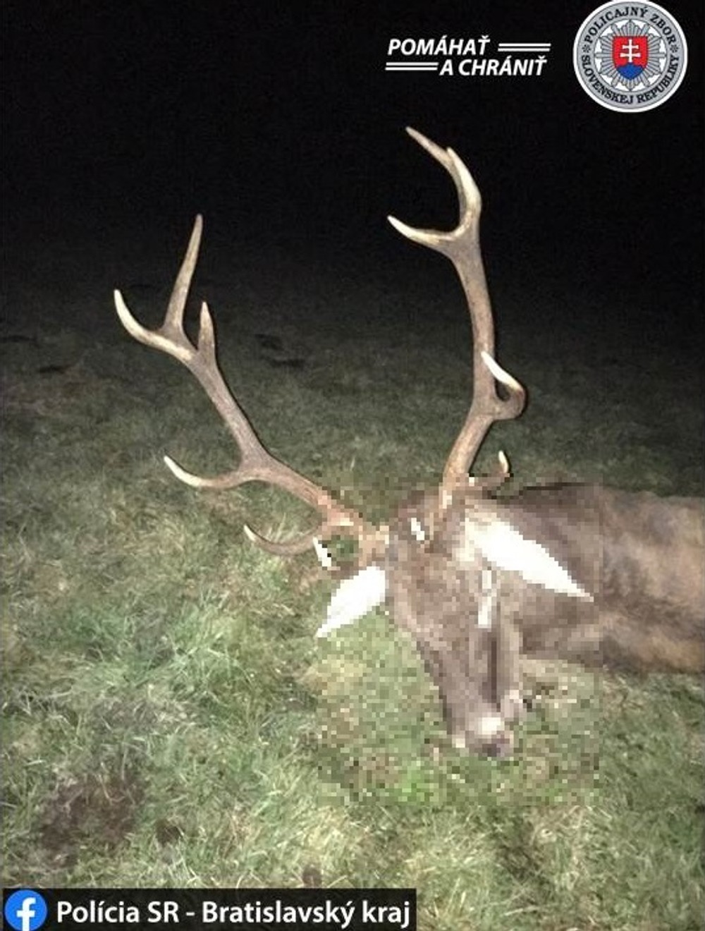 Najväčšia policajná akcia zameraná na pytliakov