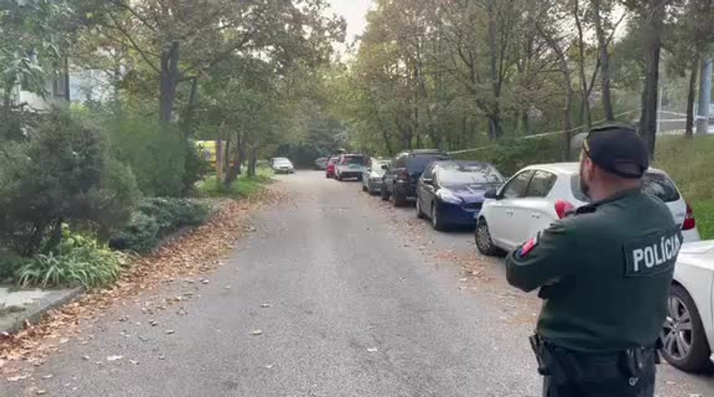 [multi] Páchateľ v kríkoch 16726