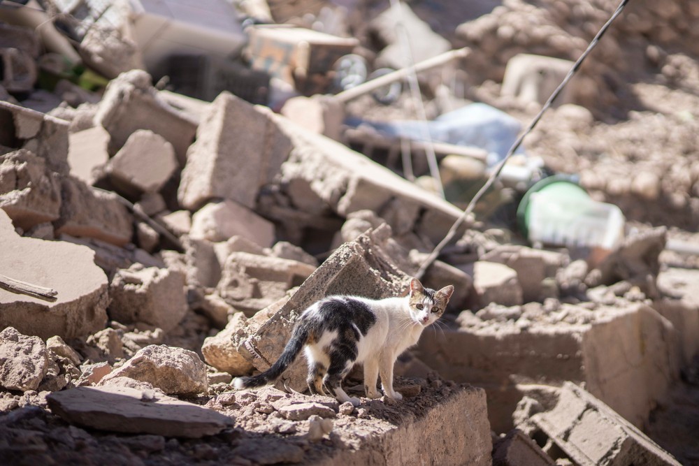 Morocco_Earthquake643988984299 (1)
