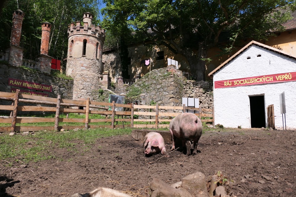 zelenahora