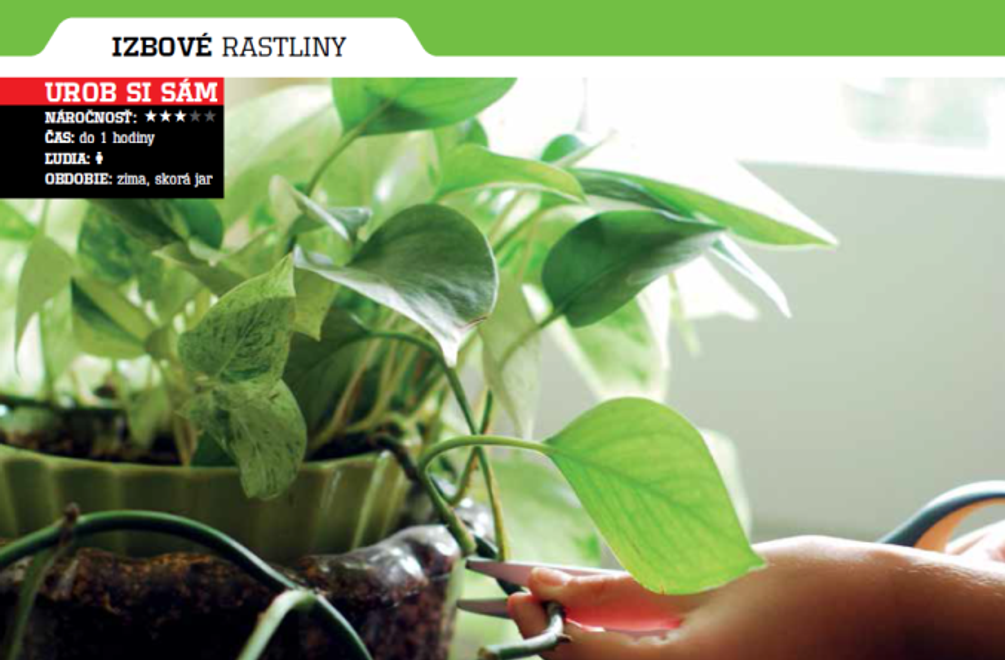 Tipy a triky do vašej záhrady, ktoré vám ušetria desiatky eur