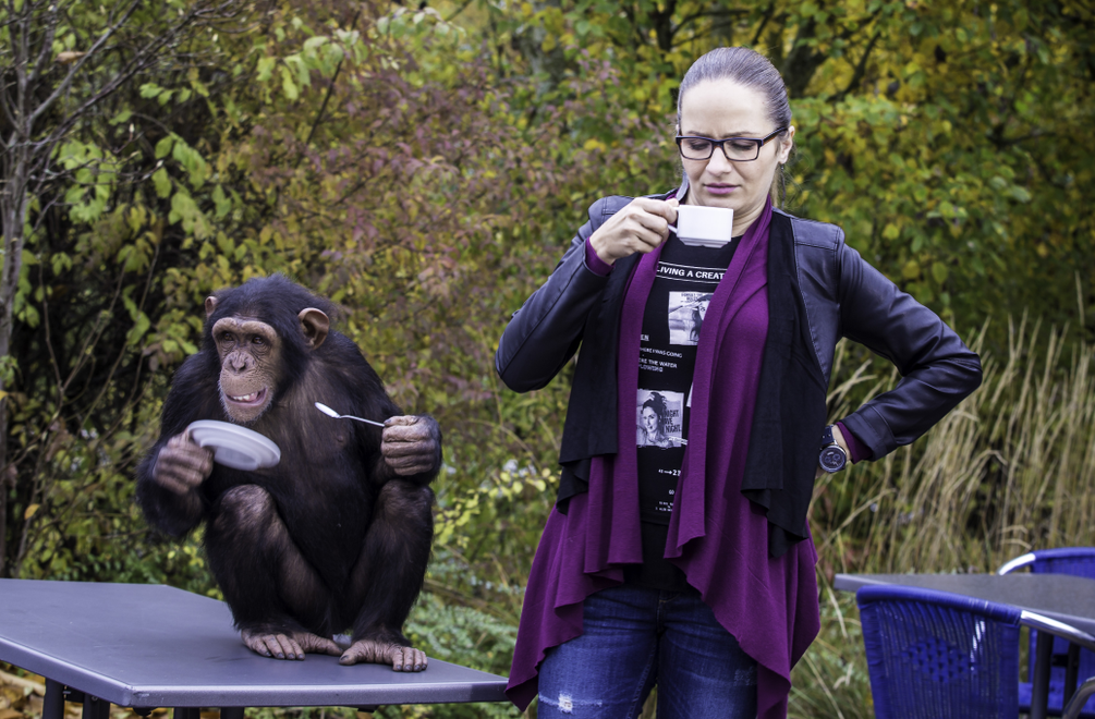 ZOO získava fanúšikov: Seriál bol včera najsledovanejším programom dňa
