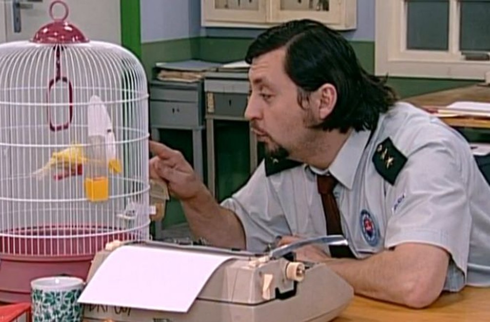 Šíri sa epidémia! Môže za ňu Šaňov kanárik?