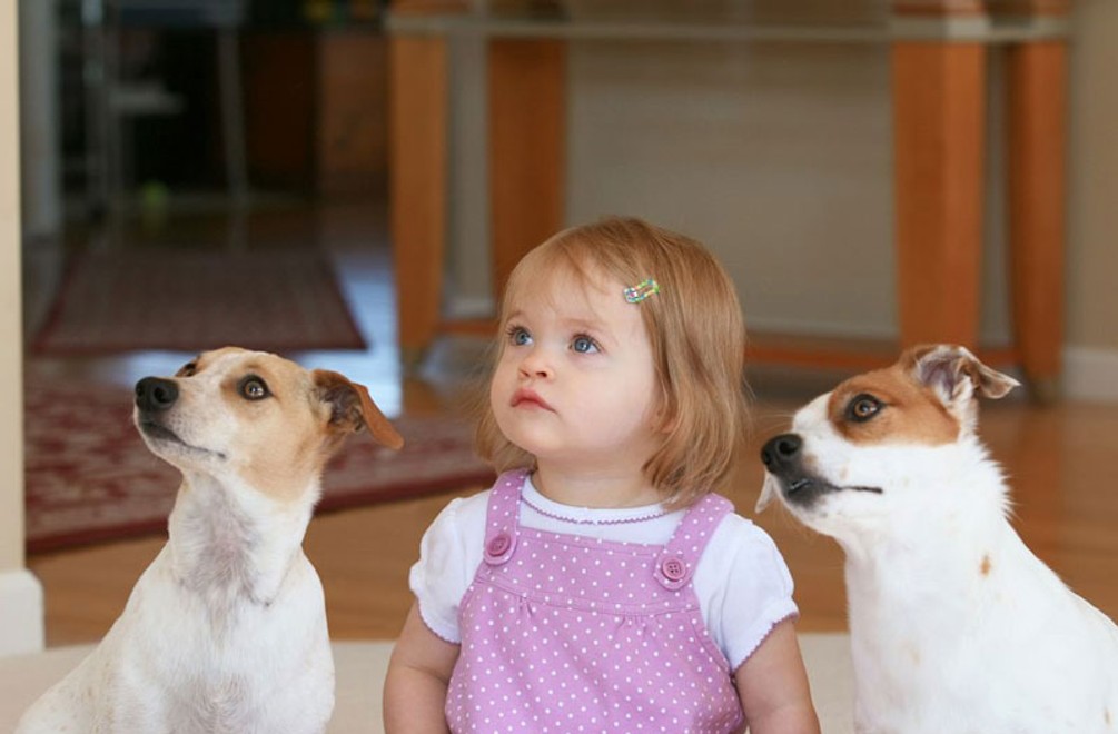 Ste pripravení na domáceho MILÁČIKA?