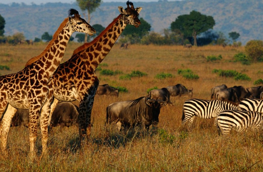 JOJka bude nakrúcať v exotike: Práve obhliadame lokácie v Afrike!