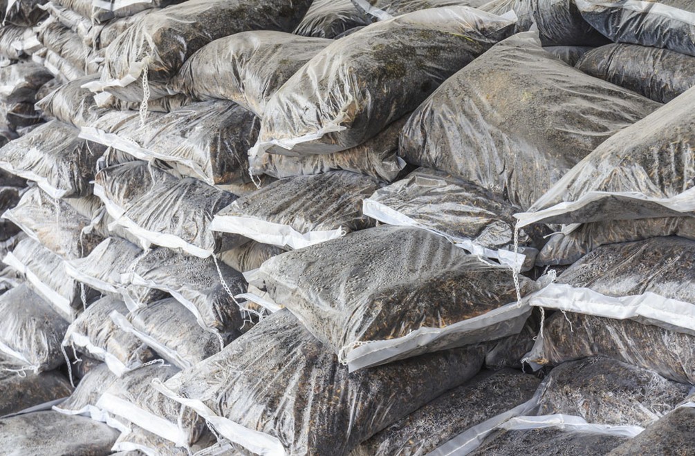 Najdrahšie samoopaľovacie krémy sa vyrábajú z hnojiva!