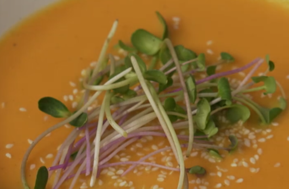 Polievka: Oranžová zo zeme