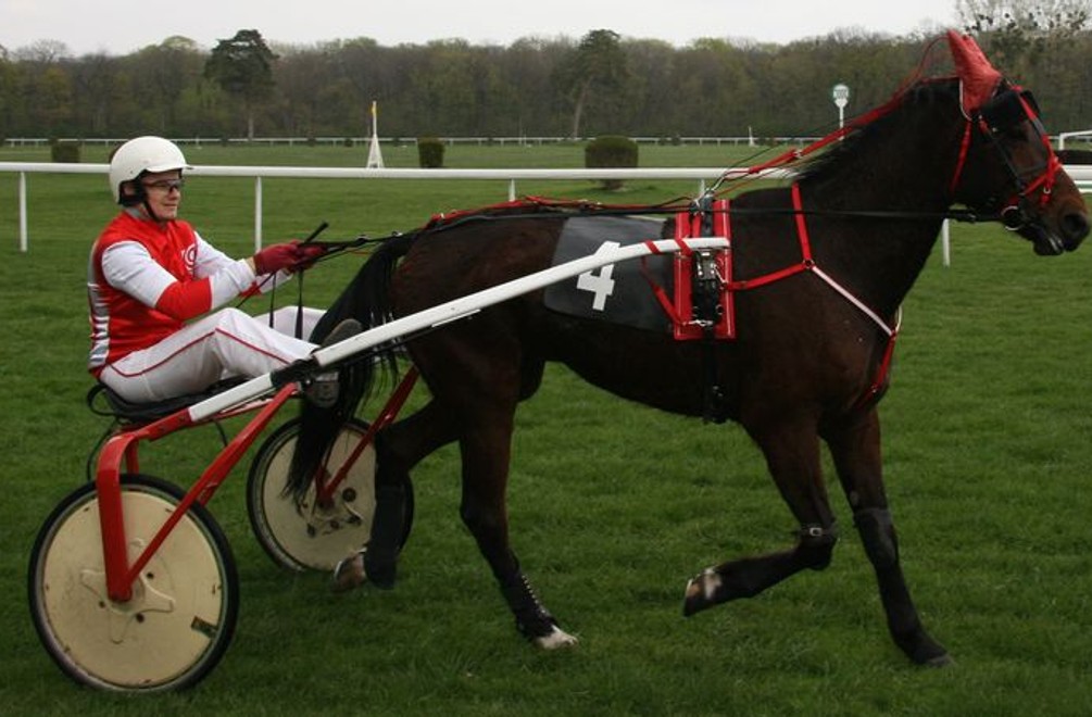 Sting lepší ako vlani