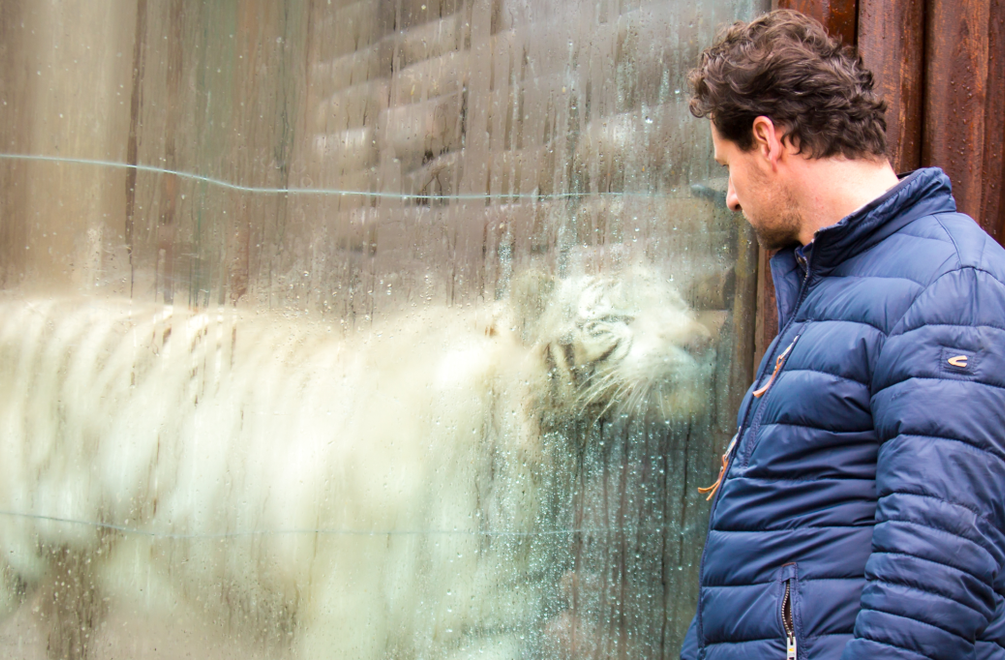 Marošov čin neprejde nepotrestaný: Usvedčí ho chýbajúce srdce z vraždy?