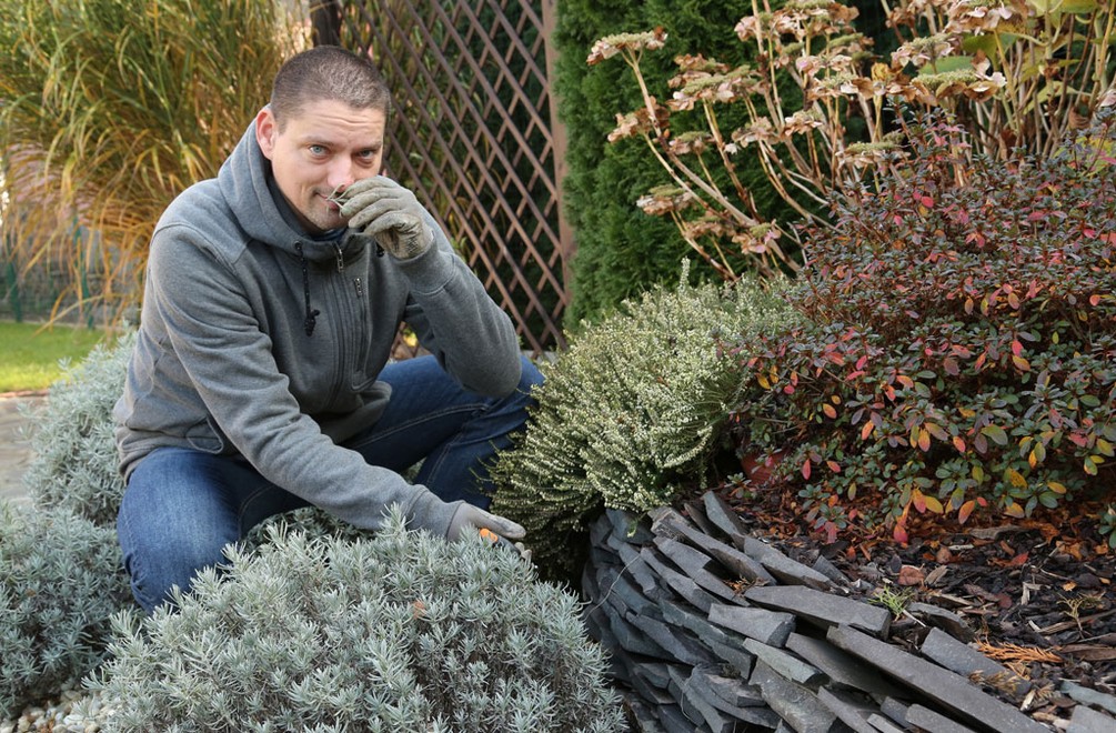 Záhradkári, POZOR! Prvý májový týždeň je dôležité spraviť niekoľko úprav vo vašej záhrade