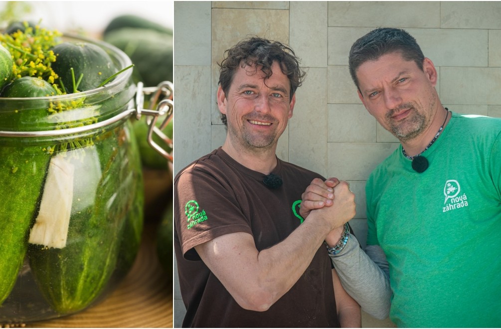 Inšpirujte sa tipom od skúsených záhradkárov: Iný nálev už do uhoriek ani nebudete robiť!