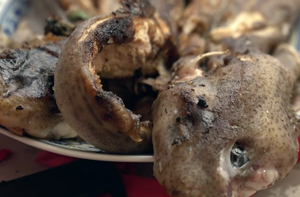 Hlavné jedlo: Dúfam, že ho nestretneš