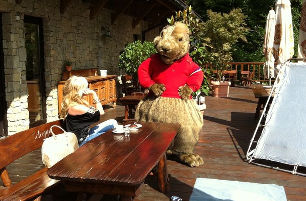 Svištia sezóna sa blíži! Pozrite si nové upútavky