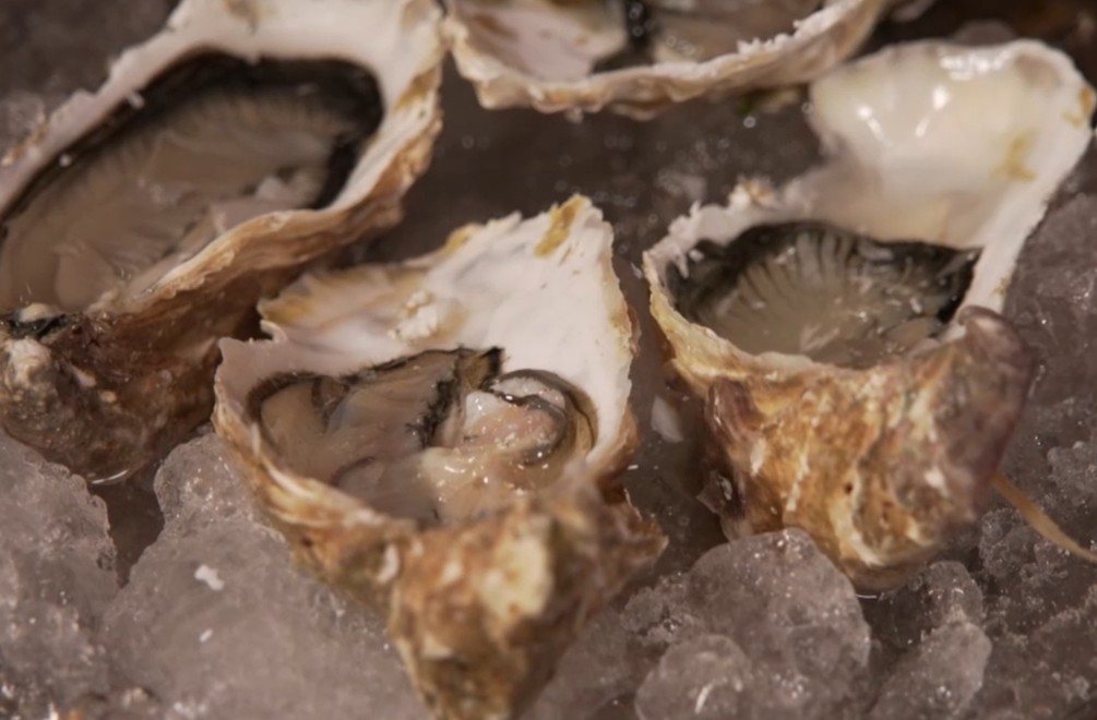 Predjedlo: Dlouhá noc