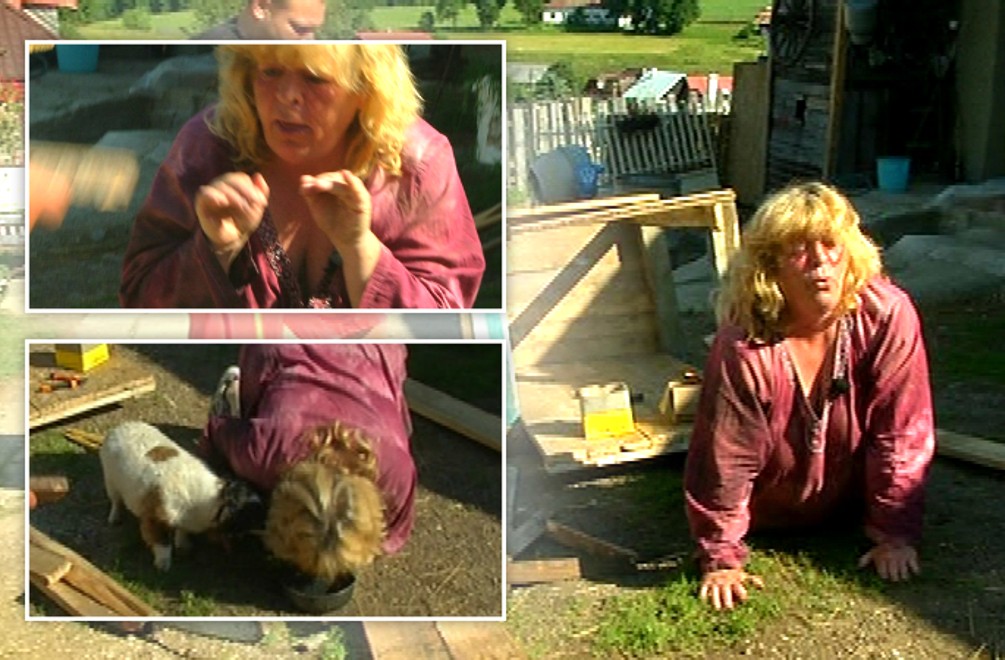 Dana nemá hranice! Ako pes skočí na štyri a strčí hlavu do psej misky!