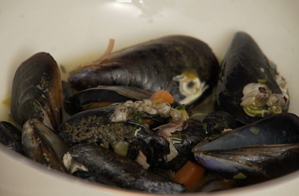 Hlavné jedlo: Casanova na plytčine