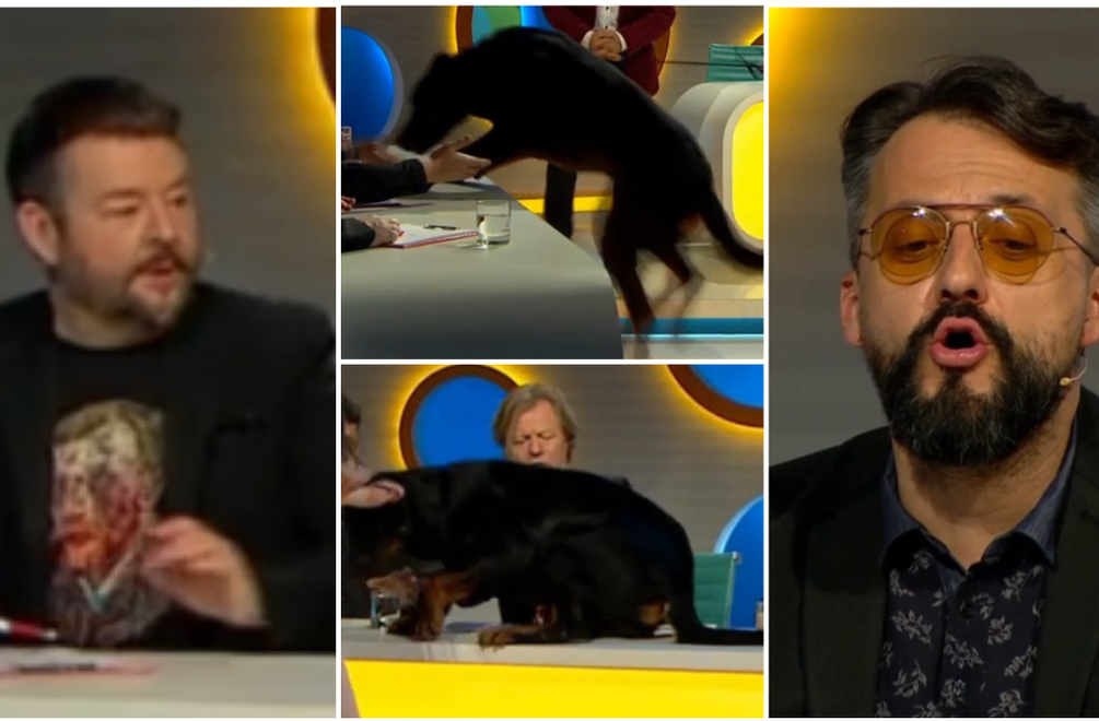 Ešte teraz sa smejeme: Pes nečakane vyskočil na stôl a zaskočil hádačov!