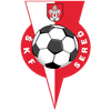 logo tímu