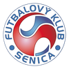 logo tímu