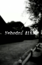 Nehodní žitia?