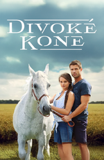 Divoké kone