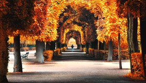 TOTO je 9 najkrajších európskych miest počas jesene