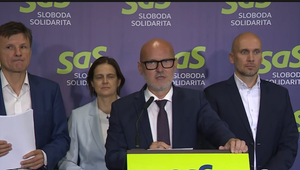 Viac ako miliónová dotácia na kaštieľ. SaS hovorí o podvodoch s eurofondami