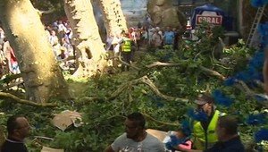 Spadnutý strom zabil 13 ľudí, vrátane bábätka