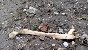 Polícia vyšetruje vážny prípad. Neďaleko Rusoviec objavili kosti