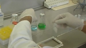 Slovenská veda sa posunula do sveta. Jeden ústav sa dokonca stal európskym lídrom