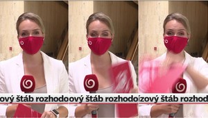 Vtipný moment v živom vysielaní: Aha, Alena Stračiaková bojovala s dotieravou muchou!