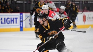 Hurá na šampionát! AHL ruší play-off, v hre 10 Slovákov