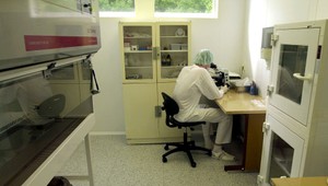 Nové otázniky okolo pupočníkovej krvi: Poslanci žiadajú prešetrenie ministerstvom zdravotníctva