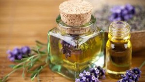 Študentka prišla s receptom na voňavý repelent z bylín. Zaženie komáre aj kliešte