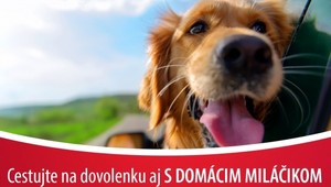 Cestovné poistenie psíka môže ušetriť stovky eur