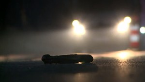 Tragédia na Kysuciach. Chodca tam zachytil kamión, vodič si najprv myslel, že ide o zver