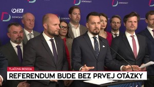 Tlačová beseda strany Demokrati k referendu