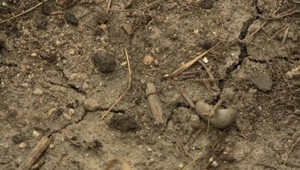 Slabá úroda, problémy s pitnou vodou a vysušené potoky. Slovensko sužuje extrémne sucho