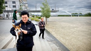 ONLINE. Dunaj by mal kulminovať zo stredy na štvrtok