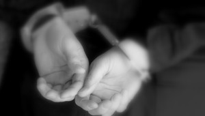 Slováka v Rakúsku odsúdili za vraždu bratranca