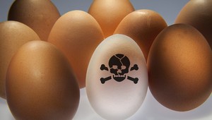 Kontaminované holandské vajcia sa našli už aj na Slovensku