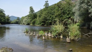 V Hrone sa utopila matka s dieťaťom