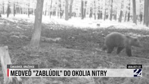 Pozrite si zhrnutie aktualít v relácii Udalosti 22 z dňa 21. apríla 2024