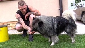 Ulicami Prievidze a túlali tri stratené psy. Nechceli ich zobrať ani do karanténnej stanice