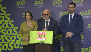 Tlačová beseda strany SaS o aktuálnych témach