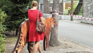 Tragédia v poľskej zoo, vzácny tiger zabil svojho ošetrovateľa